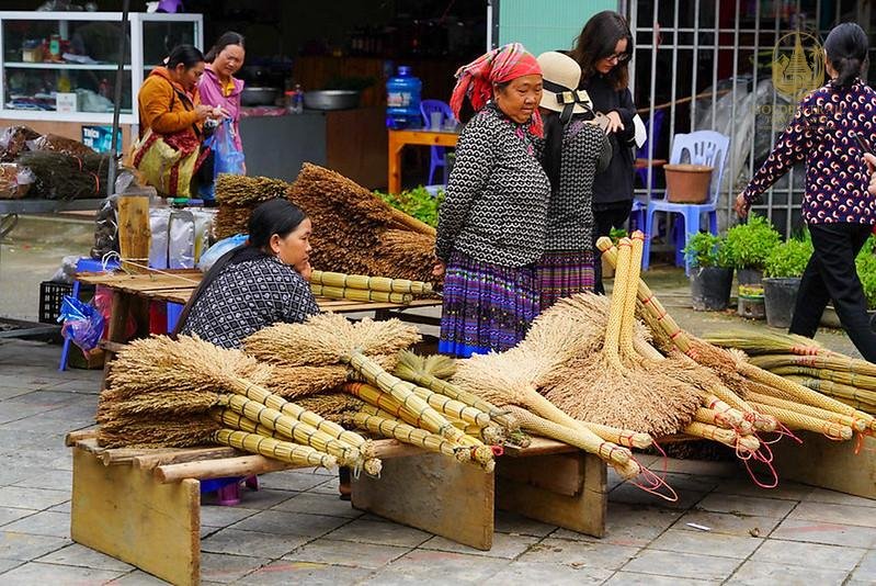 The Ultimate Guide to Vietnam Trekking Adventures